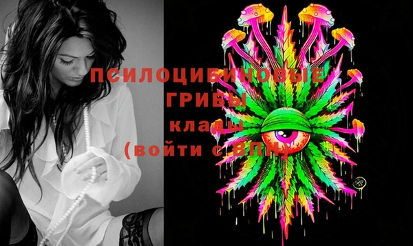 спиды Алексин
